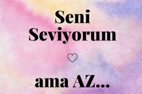 Seni Seviyorum